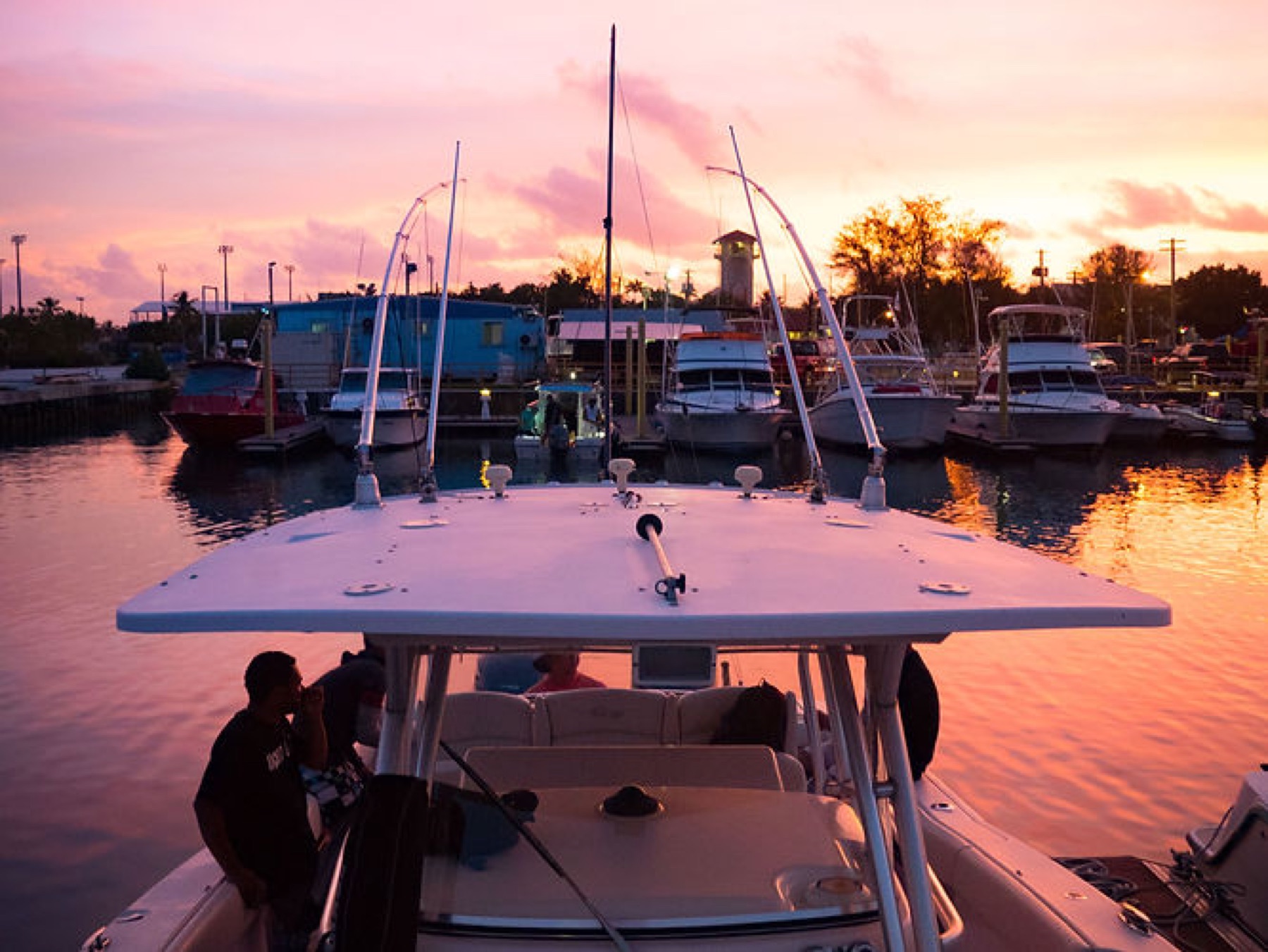 Marina at sunset